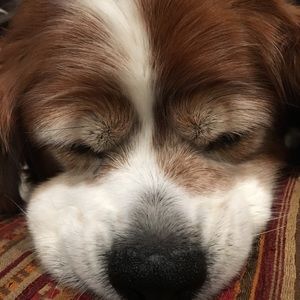 Meet your Posher, Elijah